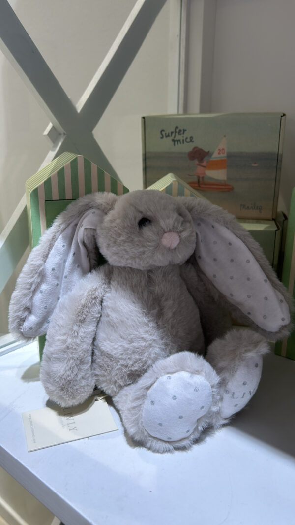 Livly bunny NY lapp